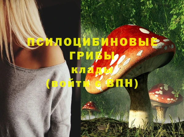 хмурый Заволжск