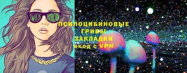 ECSTASY Заводоуковск