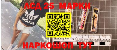 ПСИЛОЦИБИНОВЫЕ ГРИБЫ Шахты