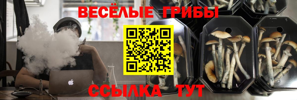 Псилоцибиновые грибы ЛСД Ачинск